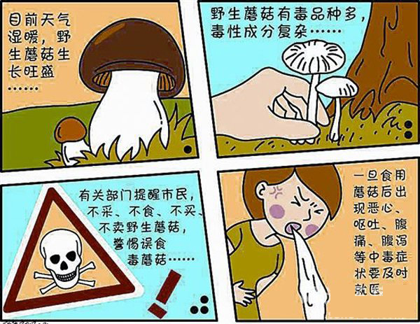 误食蘑菇祖孙三代,最容易误食的毒蘑菇有哪些