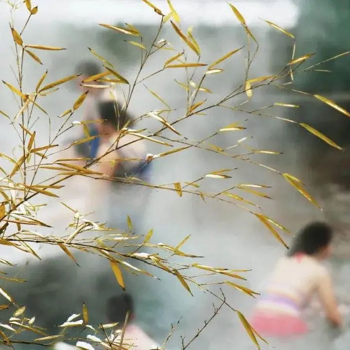 凤翔温泉双人温泉,洛阳凤翔温泉推荐