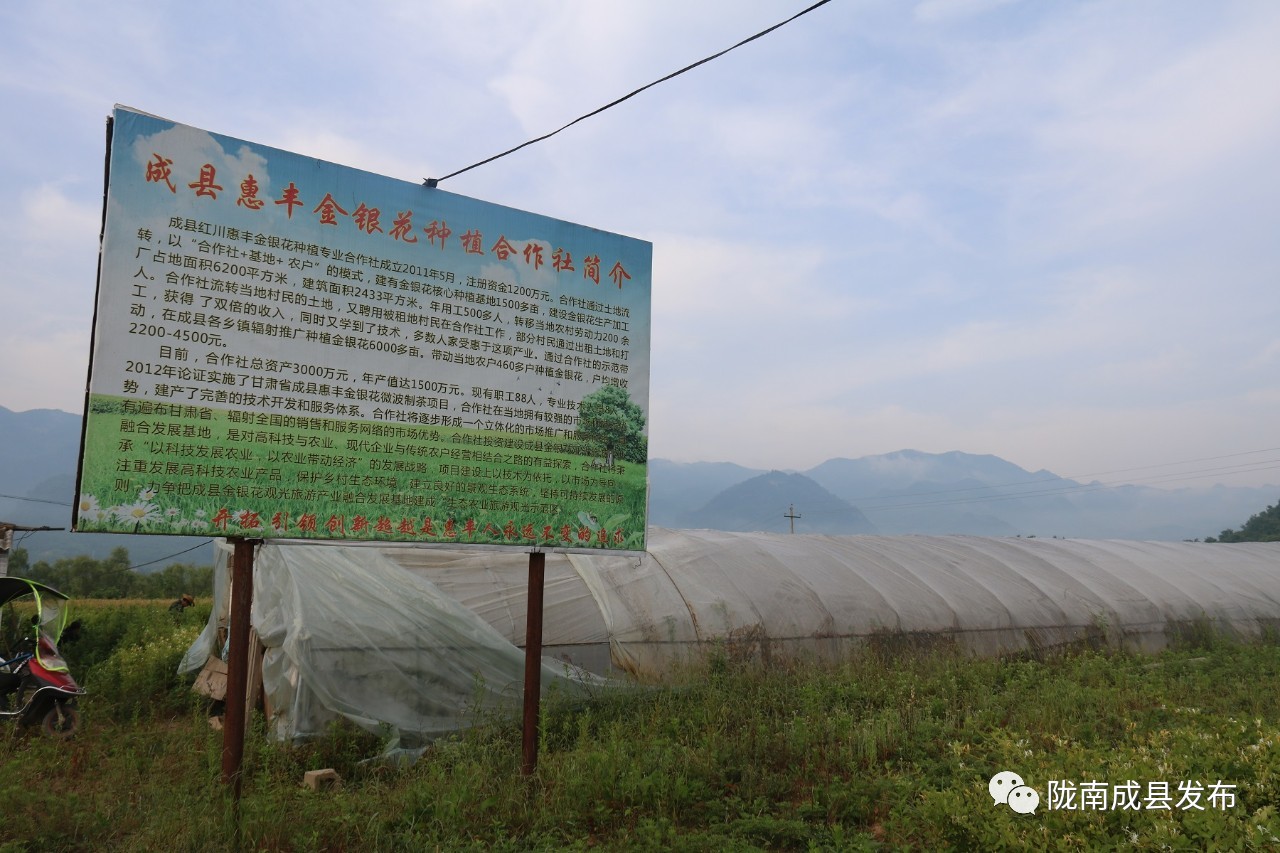 乡镇推动传统产业提档升级,推动优势产业发展壮大提质升级