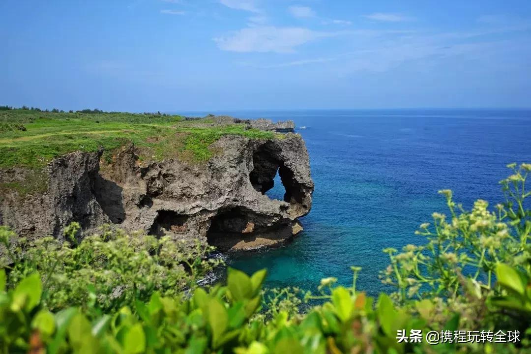 冲绳2月看樱花,冲绳哪里看樱花