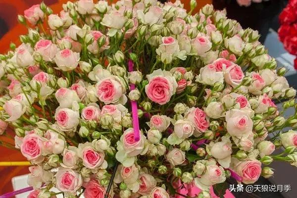 美得如此高端大气上档次,美得如此的高雅