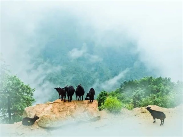 石牛旅游小镇摆摊,岳阳石牛寨景区摆摊