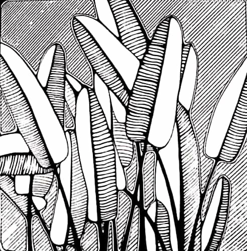 怎么讲解黑白装饰画,黑白装饰画的技法有哪些