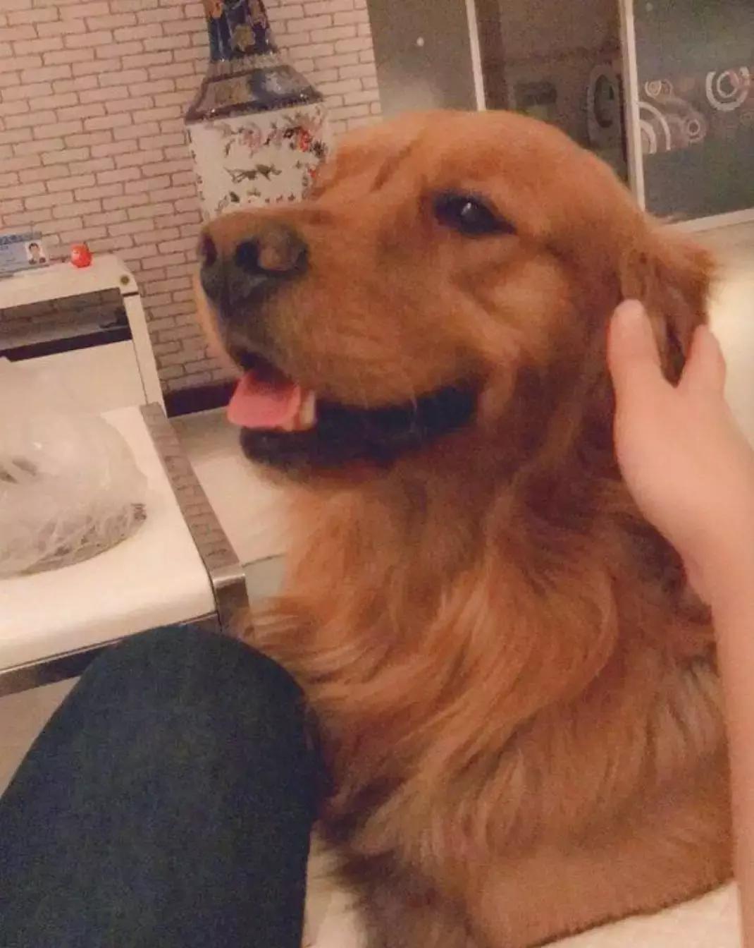 谢谢你治好了我的心脏,谢谢你治好了我的低血压