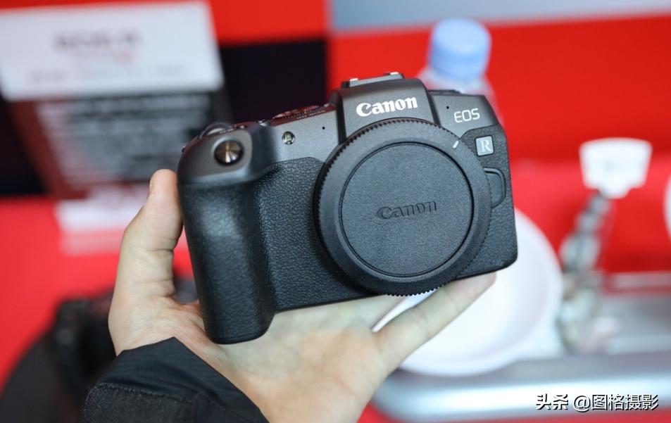 佳能eosrp实拍,佳能eosr和rp哪个值得入手
