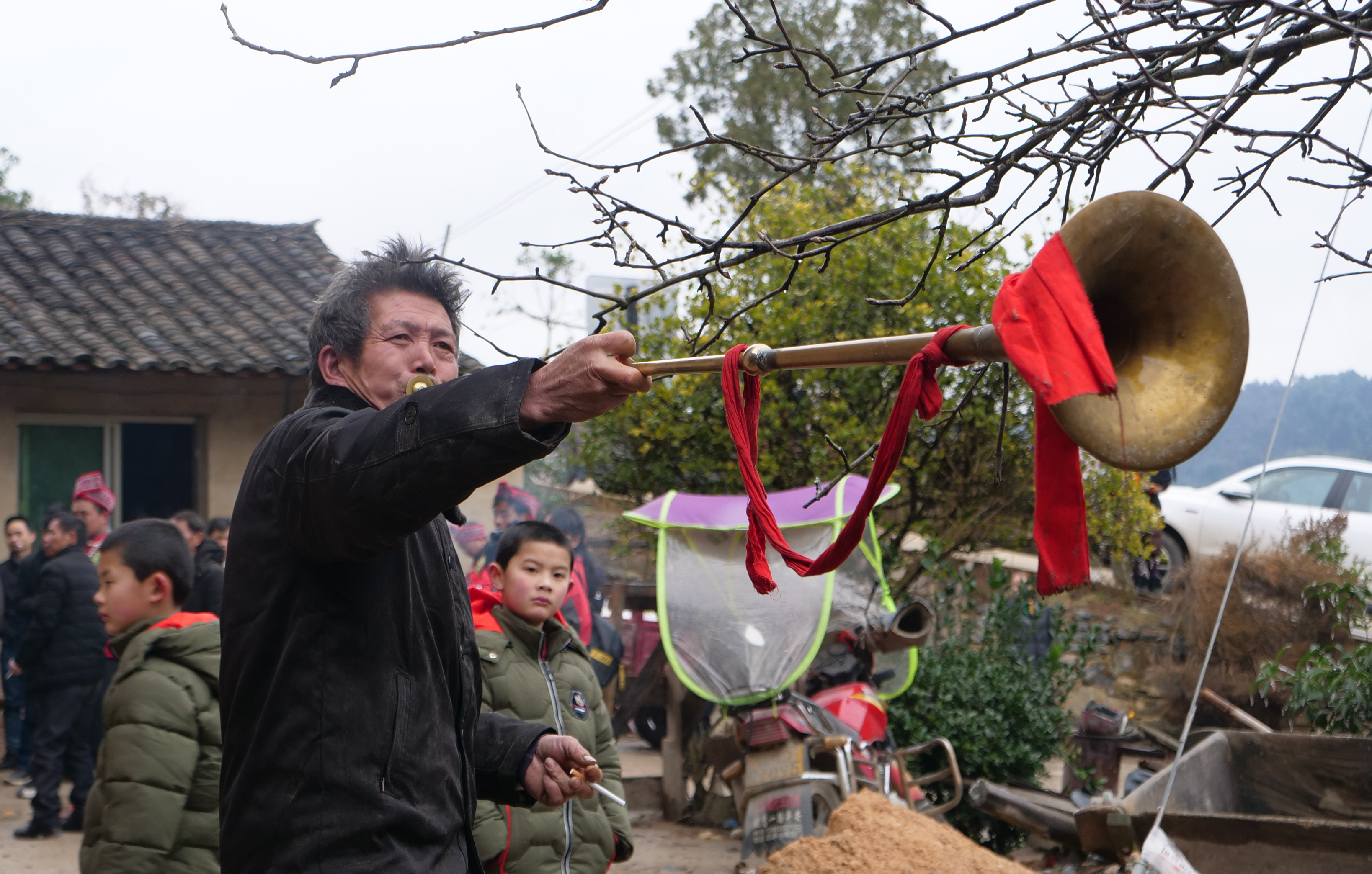 龙脑袋,龙脑袋配色