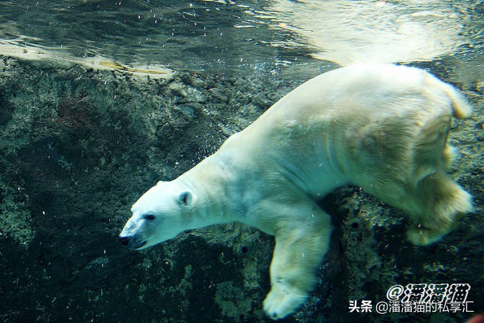 雪国和冰雪,雪国旅游
