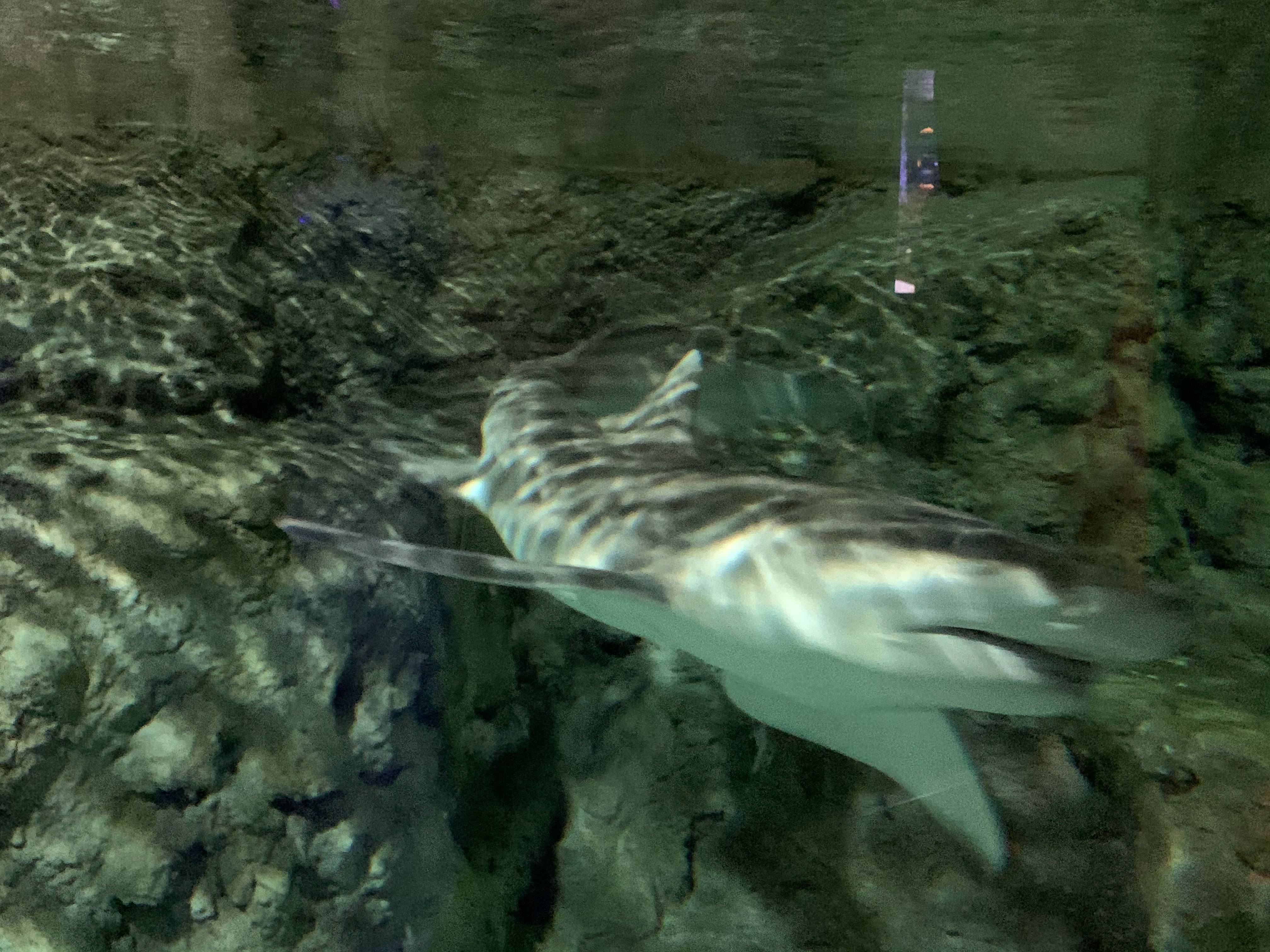 北京富国海底世界周围景点,工体富国海底世界游览攻略