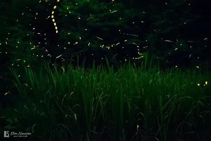 莫干山这8家民宿真想挨个住个遍,莫干山十大民宿推荐