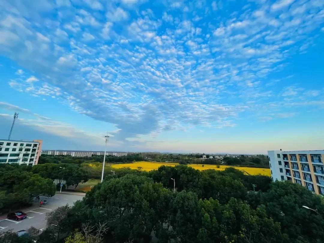 江苏省高校（五十一）南京航空航天大学金城学院