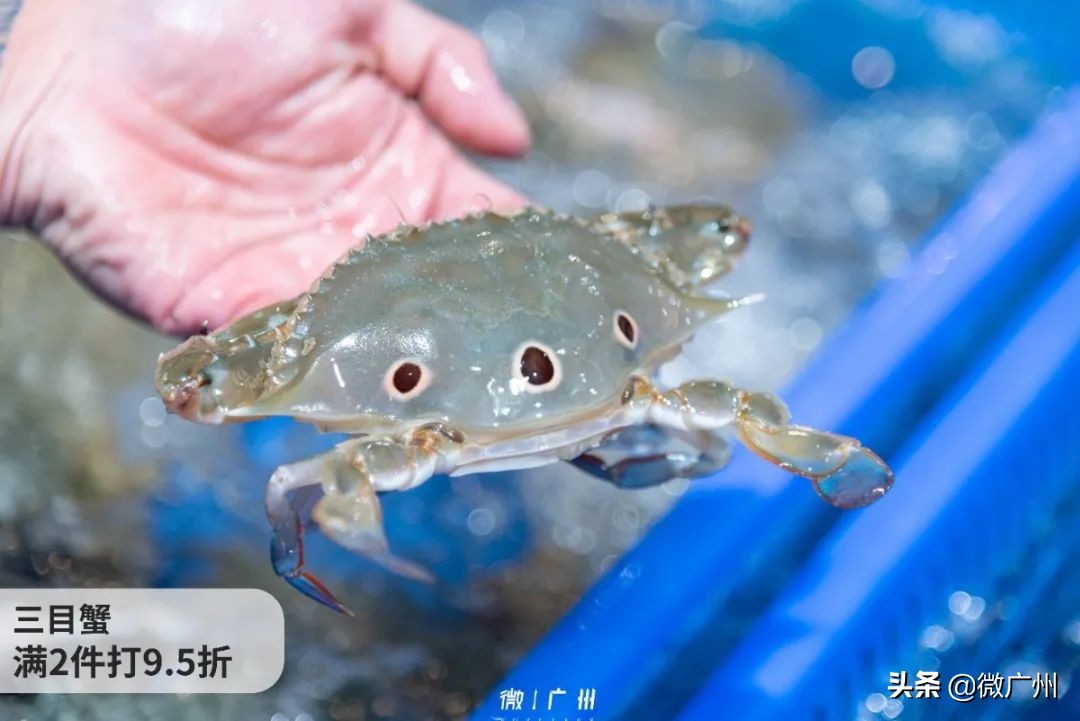 那些住进盒区房的广州人,现在怎么样了?