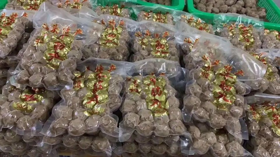 正宗潮汕牛肉丸纯手工第一名,正宗潮汕手打牛肉丸全过程直播