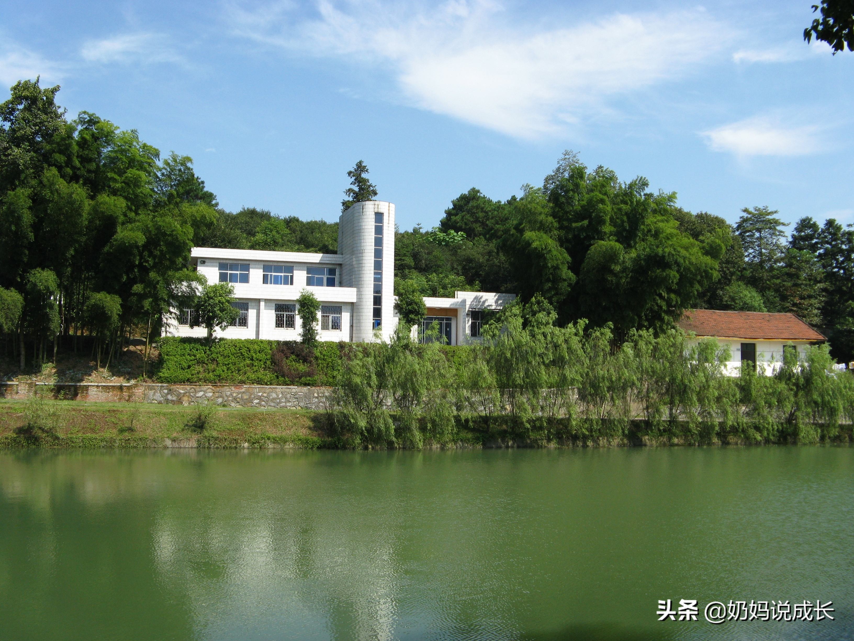 男孩“*处私**被咬”差点危及生命，要命的“*虫病恙**”家长要引起重视