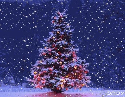 lv是软还是硬,lv是不是从不打折