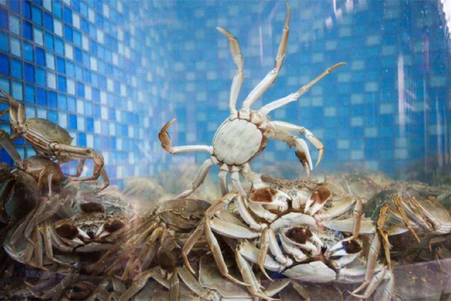 陈意涵怀孕早期做运动了吗,陈意涵怀孕孕吐吗