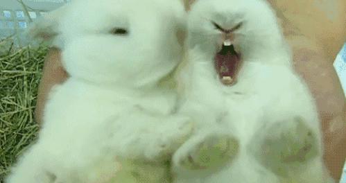 老北京俏皮话顺口溜,老北京俏皮话完整版