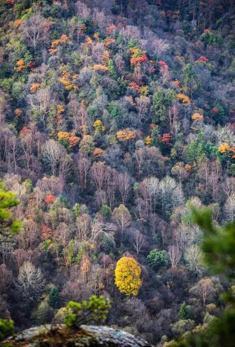 11月适合去旅行的著名风景推荐,10月11月适合旅游的地方