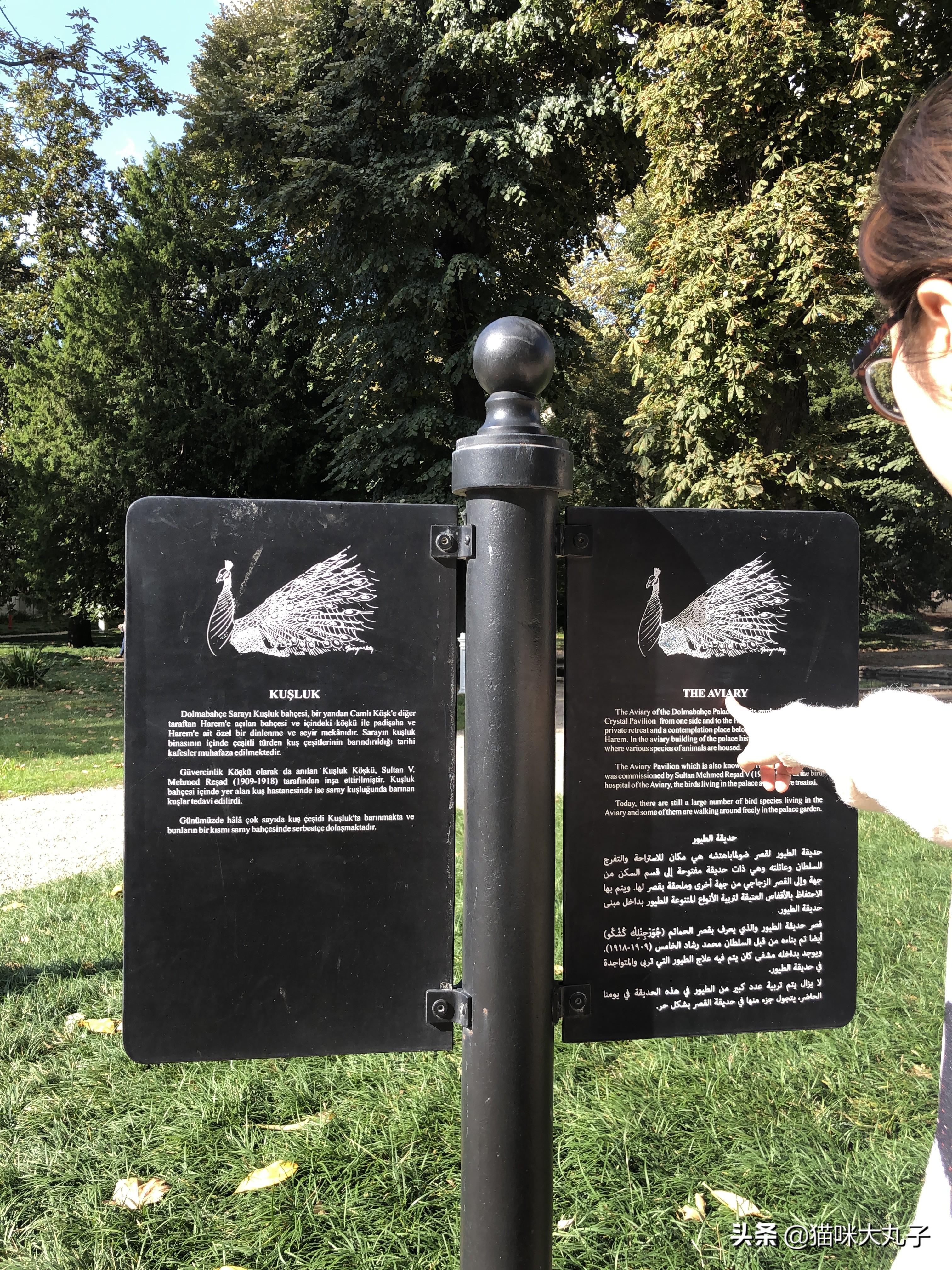 浪漫的土耳其热气球飞行之旅,热气球不仅仅在浪漫的土耳其