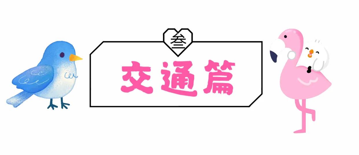 长隆飞鸟乐园拍鸟攻略,广州长隆飞鸟乐园可以摸哪些鸟