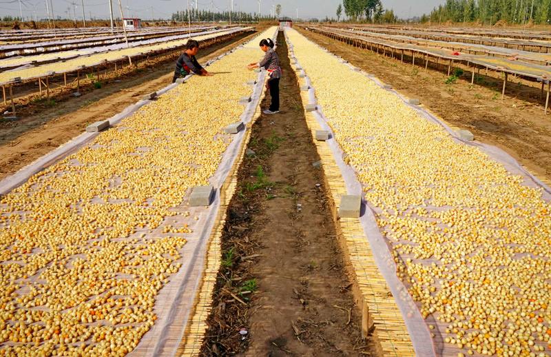 买这个食物一不留神就会上当,内行教你用4步轻松选到精品