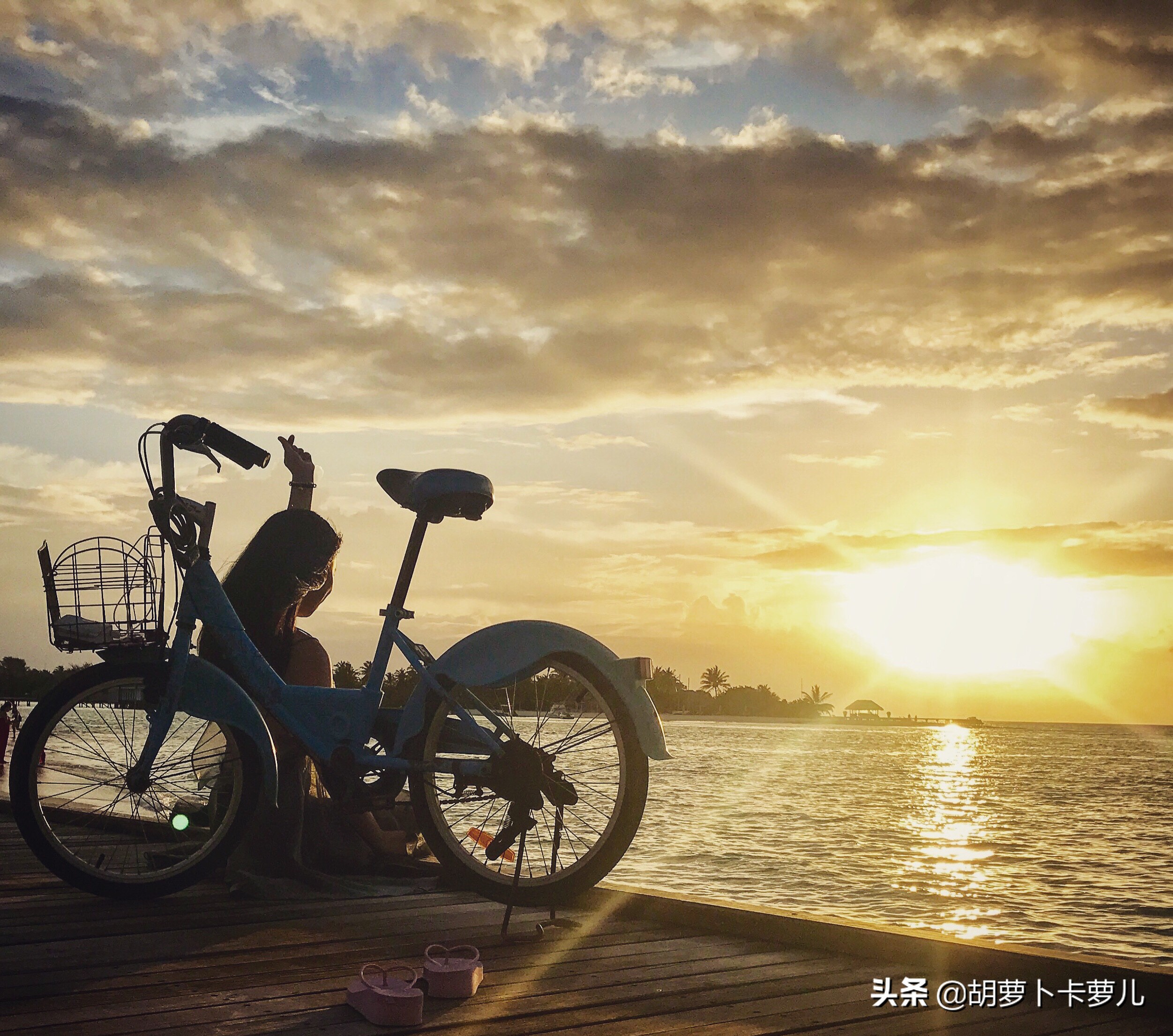 马尔代夫选岛教程,马尔代夫选岛app