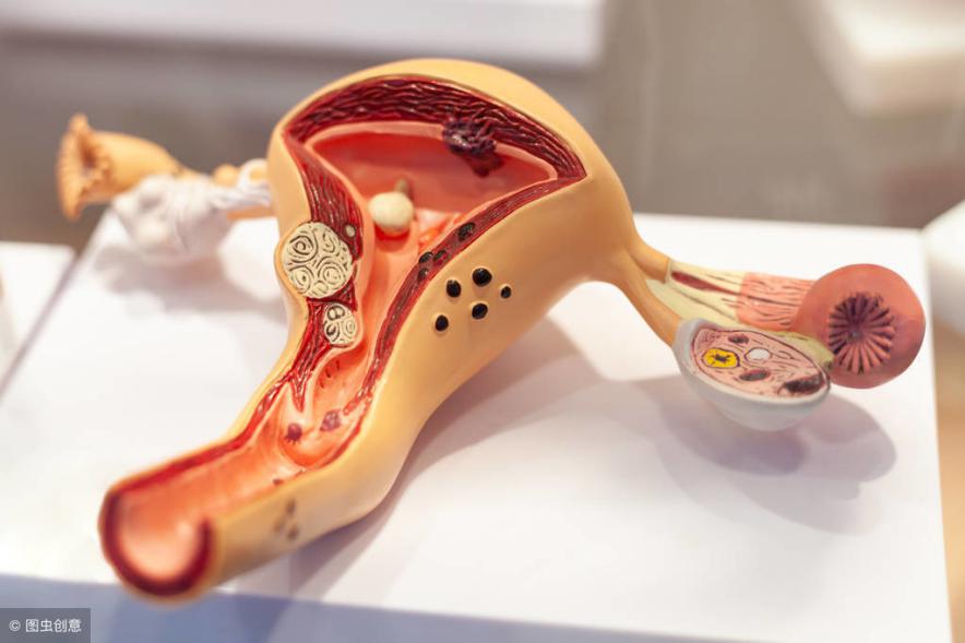 卵巢早衰月经量少用什么药,月经量少或提示卵巢早衰