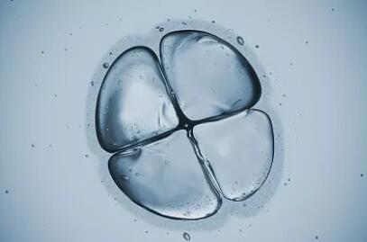 做试管婴儿的人最多做了多少次,做试管婴儿的经历花费