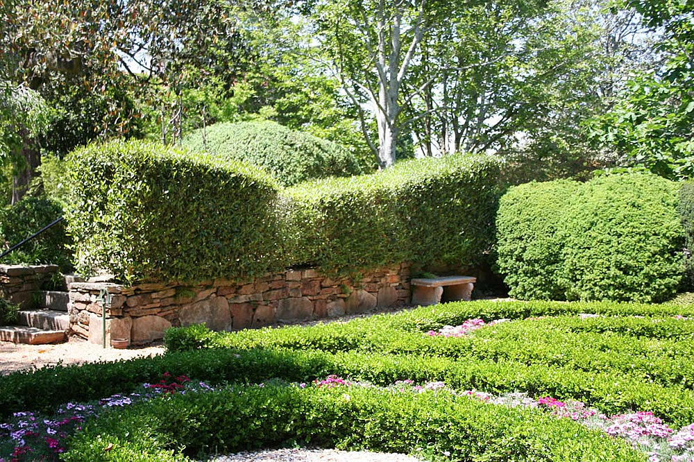 抹茶到底是怎么吃,抹茶到底有多难吃