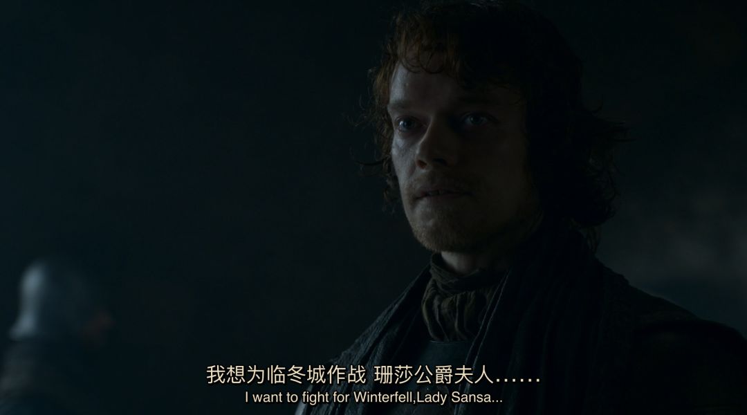 史塔克八年后的孩子,史塔克家几个孩子