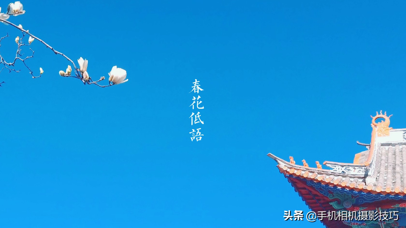 如何解决照片拍不好,怎么拯救拍得不太好的照片