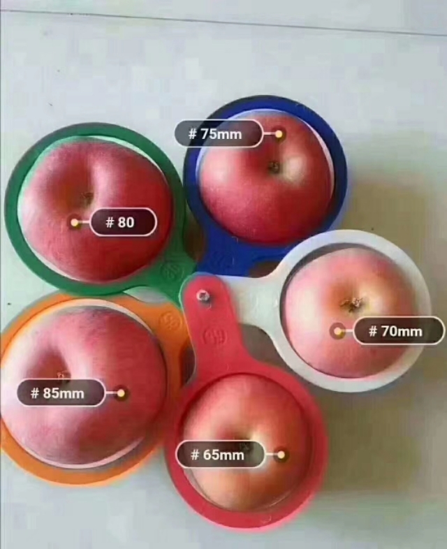 洛川苹果现状如何,洛川苹果农药