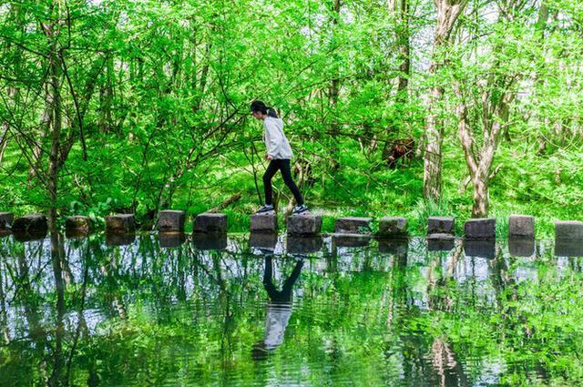 黄山西溪湿地,去西溪湿地