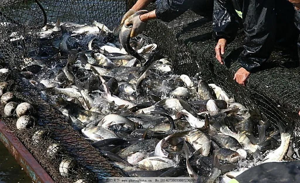 陕西大姐蛋糕店用“借网捕鱼”，一月赚22万，这个点子你也可以