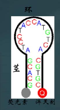 pcr核酸检测技术结果分析,核酸检测方法pcr技术