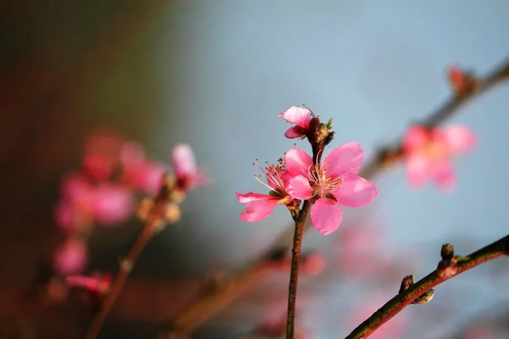 汕头网红餐厅打卡地景点,汕头适合情侣打卡的餐厅