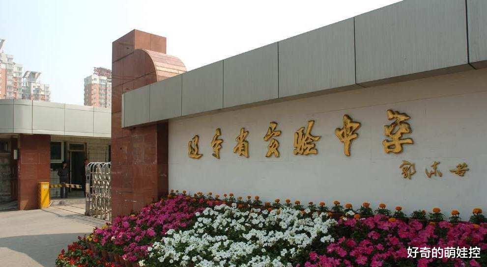 沈阳市最好的小学都是哪几个,沈阳最好的公办小学排名