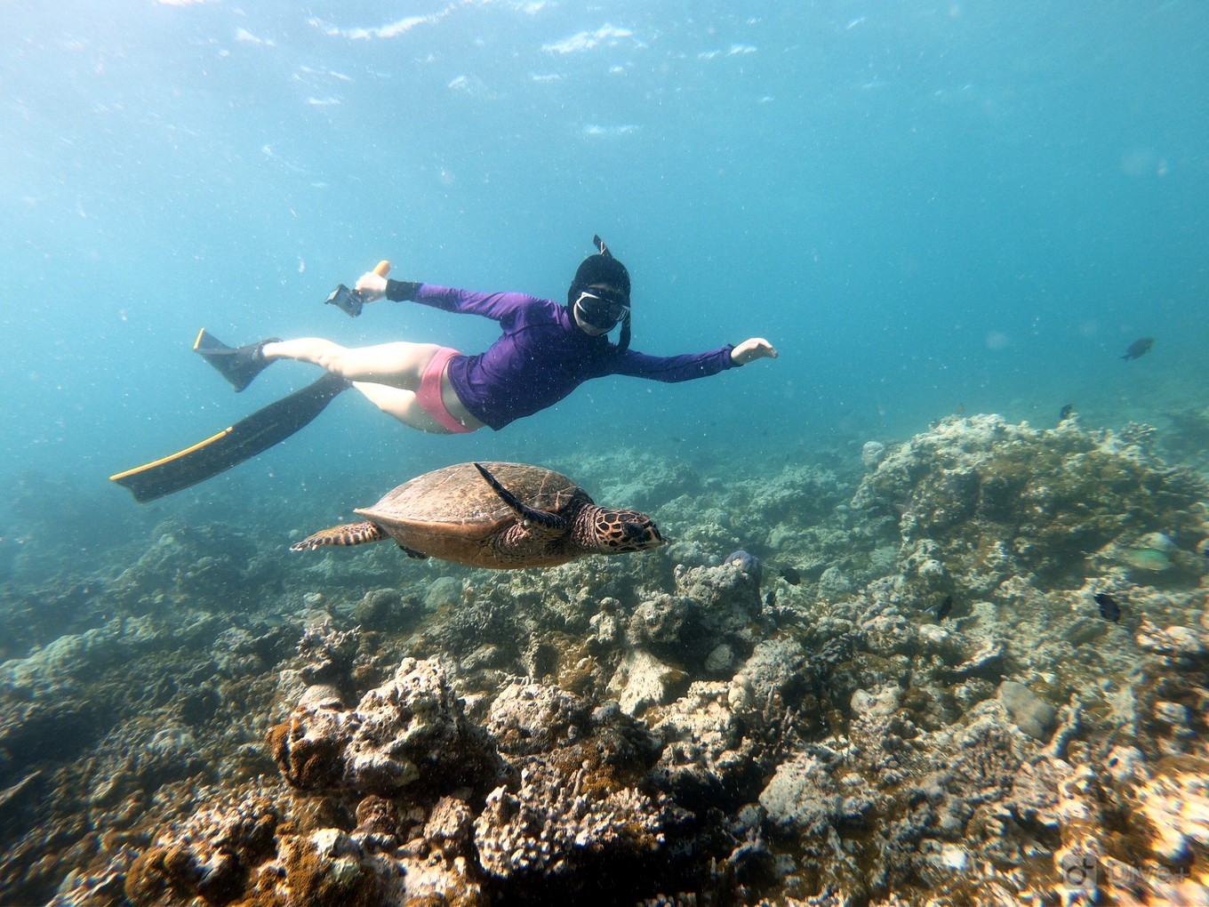 马尔代夫马富施居民岛,马尔代夫居民岛游玩攻略