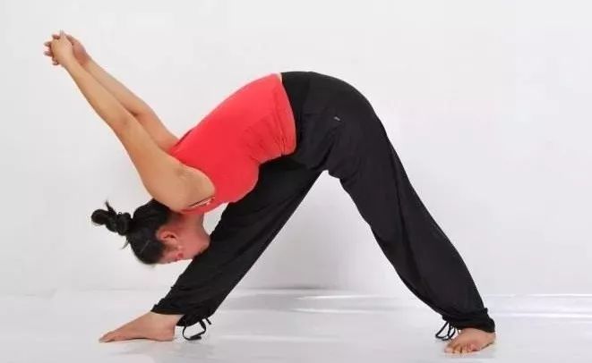 瑜伽22个经典欣赏,瑜伽28个经典动作跟练