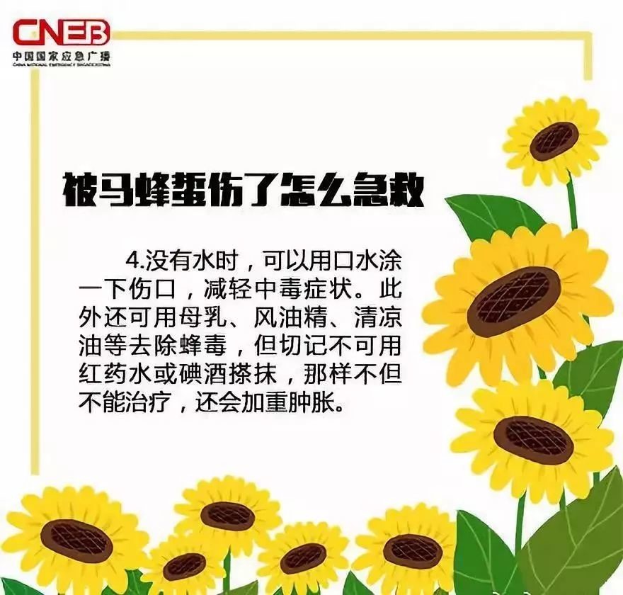 被马蜂蛰过敏性休克的急救措施,儿童被马蜂蛰了看不到毒刺