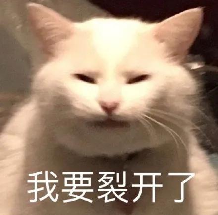 30秒搞定海报,一张海报做10秒酷炫视频