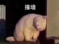 欣奕除疤凝胶对疤痕体质有效果吗,疤痕形成后用芦荟能除疤吗