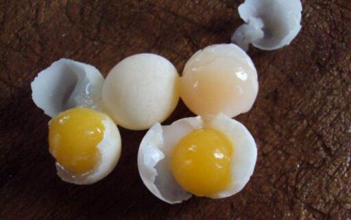 鸵鸟蛋和鸡蛋比哪个更好吃,鸵鸟蛋营养高还是鸽子蛋营养高