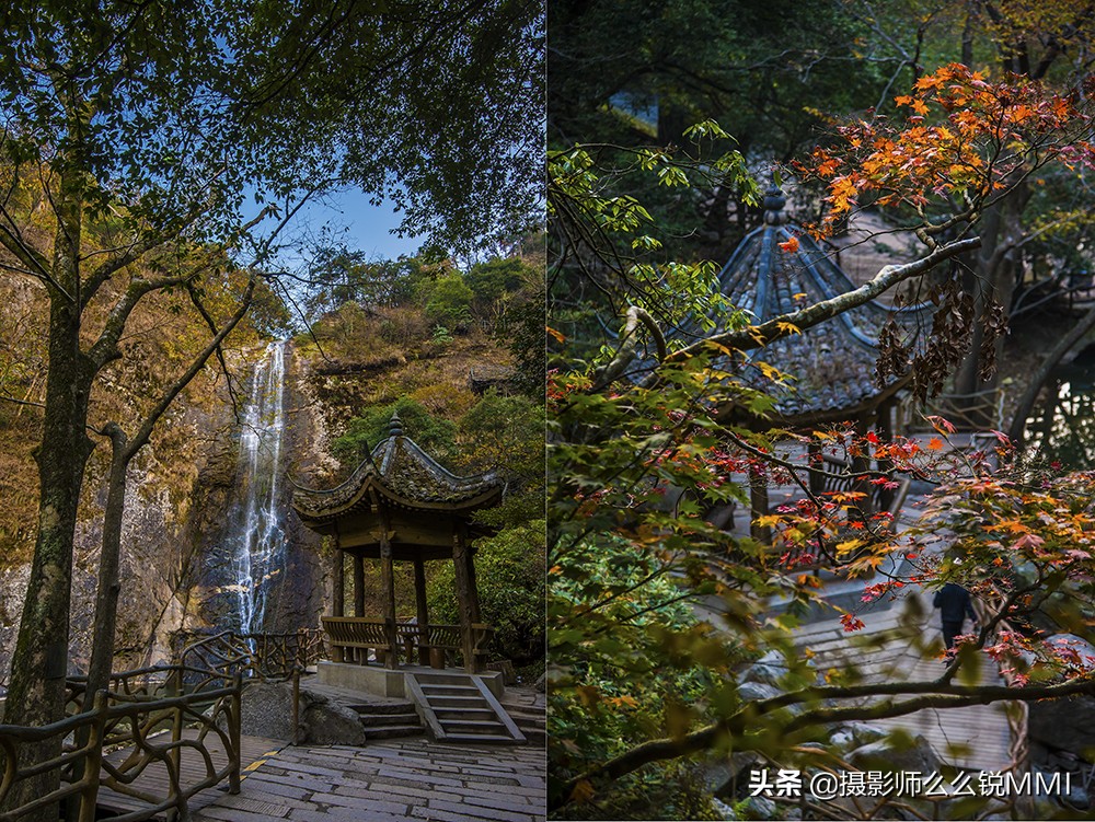 皖西大别山原始森林,华东最后一座原始森林