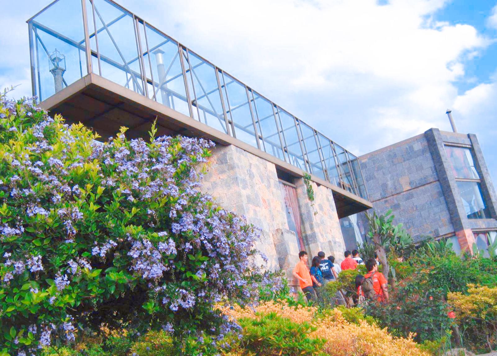 杨丽萍花3千多万,杨丽萍出场费多少钱一次