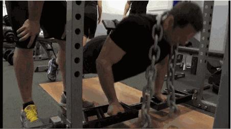 类固醇健身增肌饮食,增肌类的类固醇跟减脂的区别