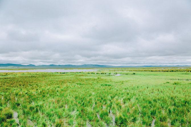 若尔盖5日游推荐,成都九寨沟黄龙若尔盖深度游