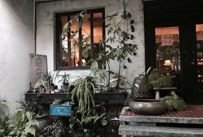 台湾宝岛茶,台湾最好的茶是哪个