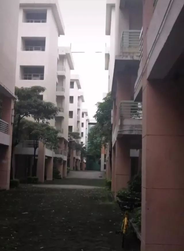 昔日辉煌的裕元鞋厂,曾经裕元鞋厂在哪个镇