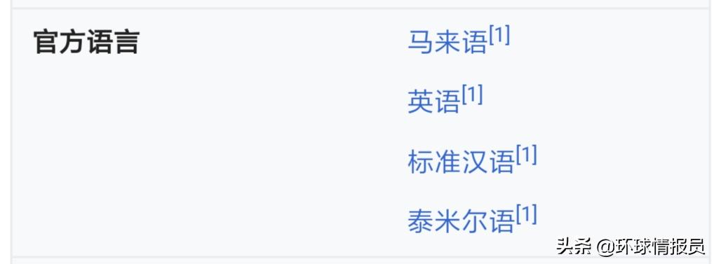 华语对新加坡的重要性,新加坡华语运动40周年活动