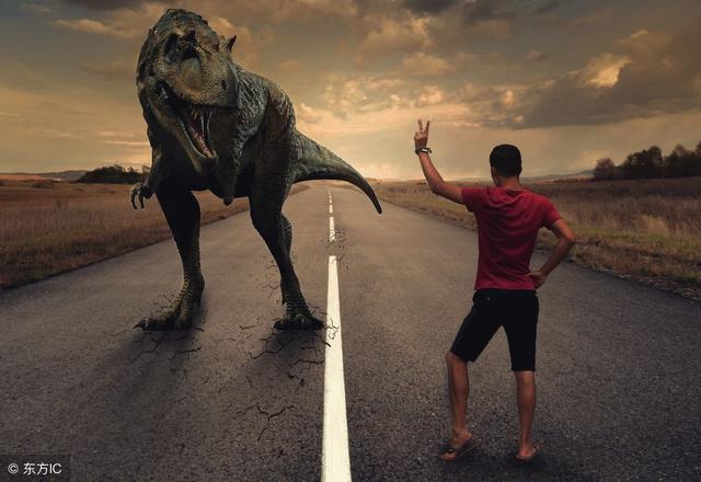 ps14.0入门教程零基础,ps60天零基础入门教程